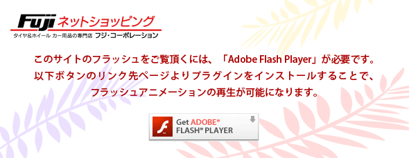 Flash �_�E�����[�h�ē�