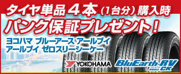 2018年製造 245/30R22 ラジアルタイヤ １本  245/30ZR22