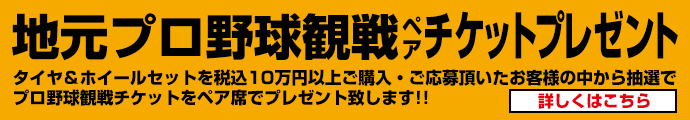 地元プロ野球チケット