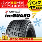 iceGUARD7