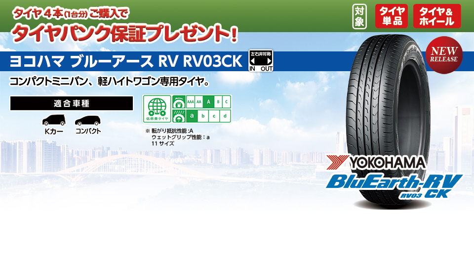 設立50周年記念企画 YOKOHAMA BluEarth RV03 CK