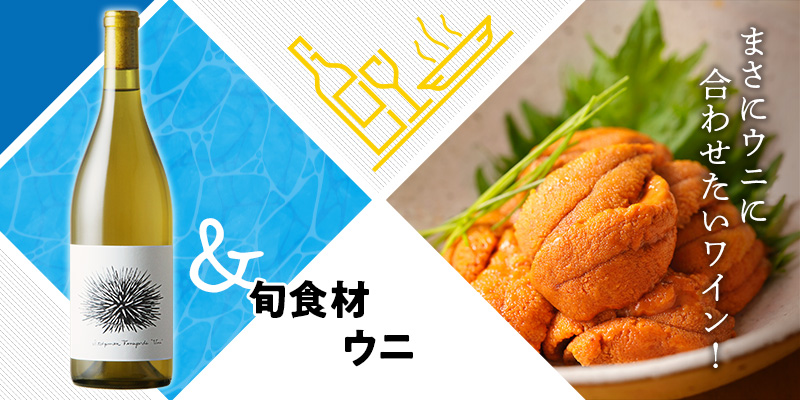 旬食材 ウニ