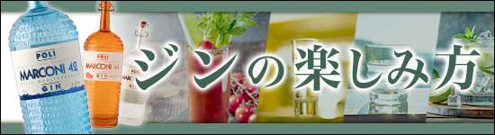 ジンの楽しみ方
