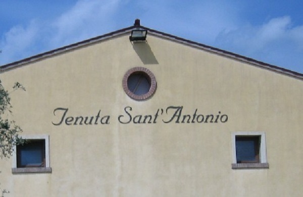 Tenuta Sant Antonio テヌータ サンアントニオ アマローネ デッラ ヴァルポリチェッラ 2017｜ワイン｜フジコーポレーション  ワインショップフジ