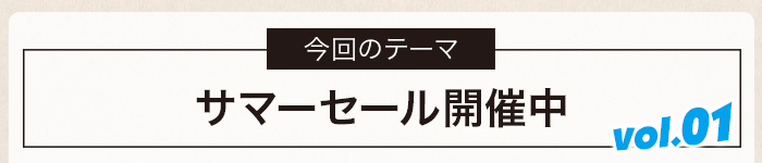 新入荷商品 ドメーヌ ルフレーヴ