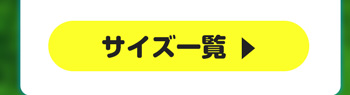 BFGoodrich オールテレーンT/A KO3 RWL