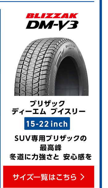 ブリヂストン ブリザック DM-V3