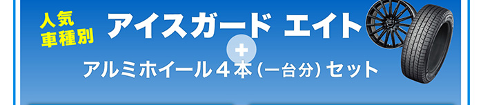 アイスガードエイト+アルミホイール4本セット