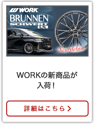 ワークシュヴァートブルネン LX特集