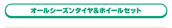 オールシーズンタイヤ＆ホイールセット