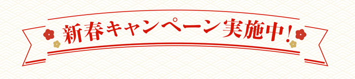 新春キャンペーン実施中！
