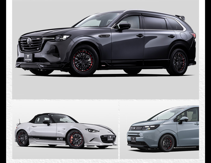 WEDS ノヴァリス ローグ QR 装着画像