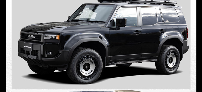 WEDS ウェッズアドベンチャー マッドヴァンス DX 装着画像