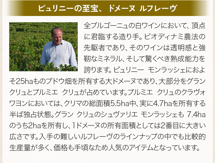 「ピュリニーの至宝、ドメーヌ ルフレーヴ」全ブルゴーニュの白ワインにおいて、頂点に君臨する造り手。ビオディナミ農法の先駆者であり、そのワインは透明感と強靭なミネラル、そして驚くべき熟成能力を誇ります。ピュリニー モンラッシェにおよそ25haものブドウ畑を所有する大ドメーヌであり、大部分をグラン クリュとプルミエ クリュが占めています。
