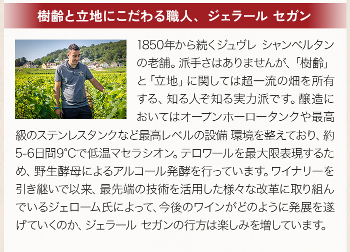 「樹齢と立地にこだわる職人、ジェラール セガン」1850年から続くジュヴレ シャンベルタンの老舗。派手さはありませんが、「樹齢」と「立地」に関しては超一流の畑を所有する、知る人ぞ知る実力派です。醸造においてはオープンホーロータンクや最高級のステンレスタンクなど最高レベルの設備 環境を整えており、約5-6日間9°Cで低温マセラシオン。テロワールを最大限表現するため、野生酵母によるアルコール発酵を行っています。