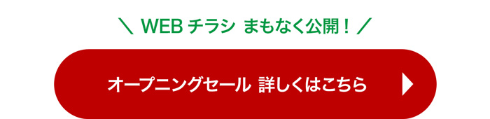 オープニングセール 詳しくはこちら