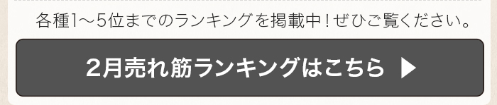 2月売れ筋ランキング特集はこちら
