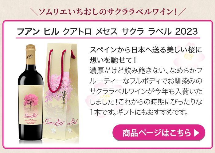 2月売れ筋ランキング特集はこちら