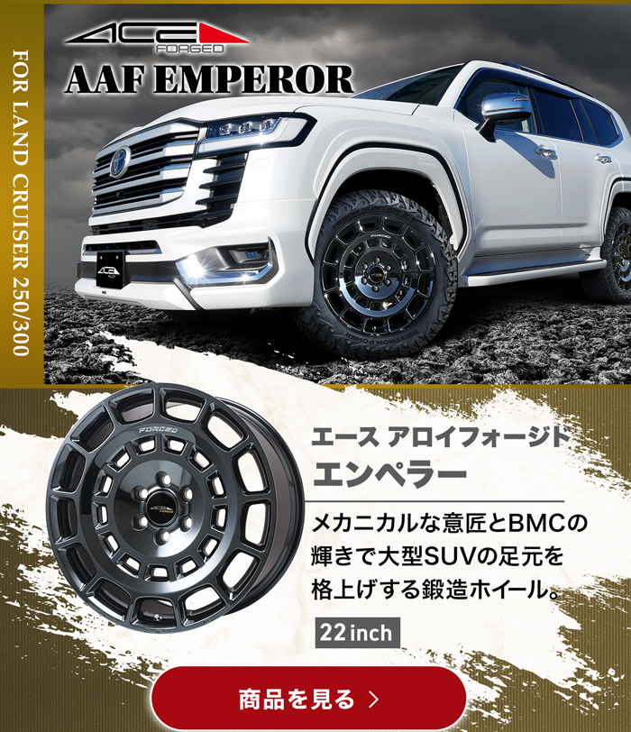 ACE  AAF  エンペラー FORGED(平座)