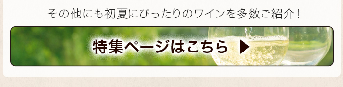 5・6月ソムリエおすすめワイン