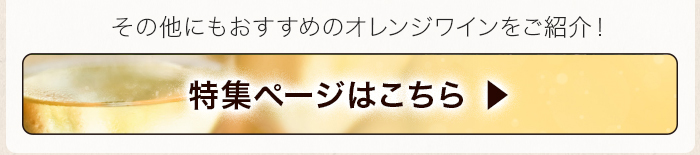 オレンジワイン特集一覧