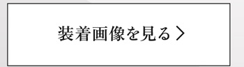 装着画像を見る