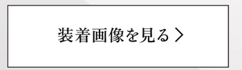 装着画像を見る