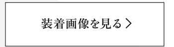 装着画像を見る