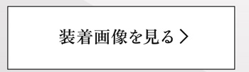 装着画像を見る