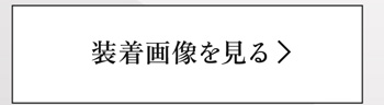 装着画像を見る