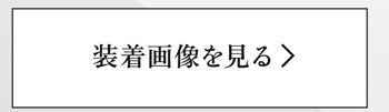 装着画像を見る