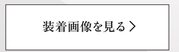 装着画像を見る