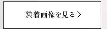 装着画像を見る
