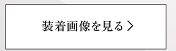 装着画像を見る