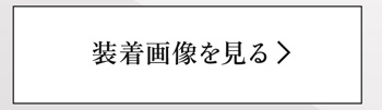 装着画像を見る