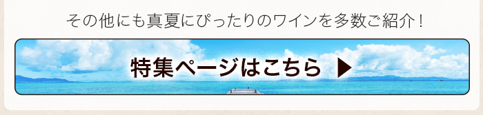 7・8月ソムリエおすすめワイン一覧