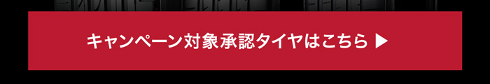 キャンペーン対象承認タイヤはこちら