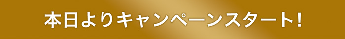 本日よりキャンペーンスタート！