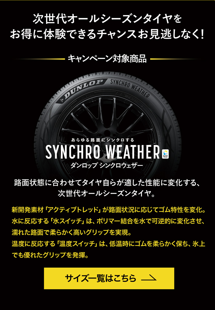 ダンロップシンクロウェザーサイズ一覧