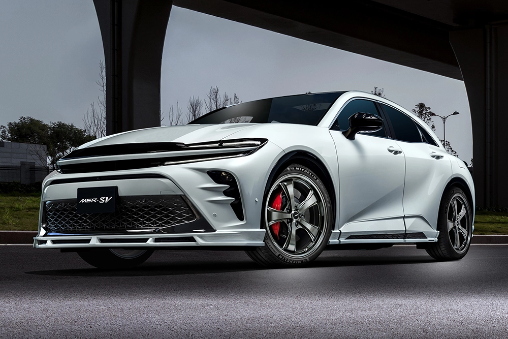 MER-SV 装着画像1