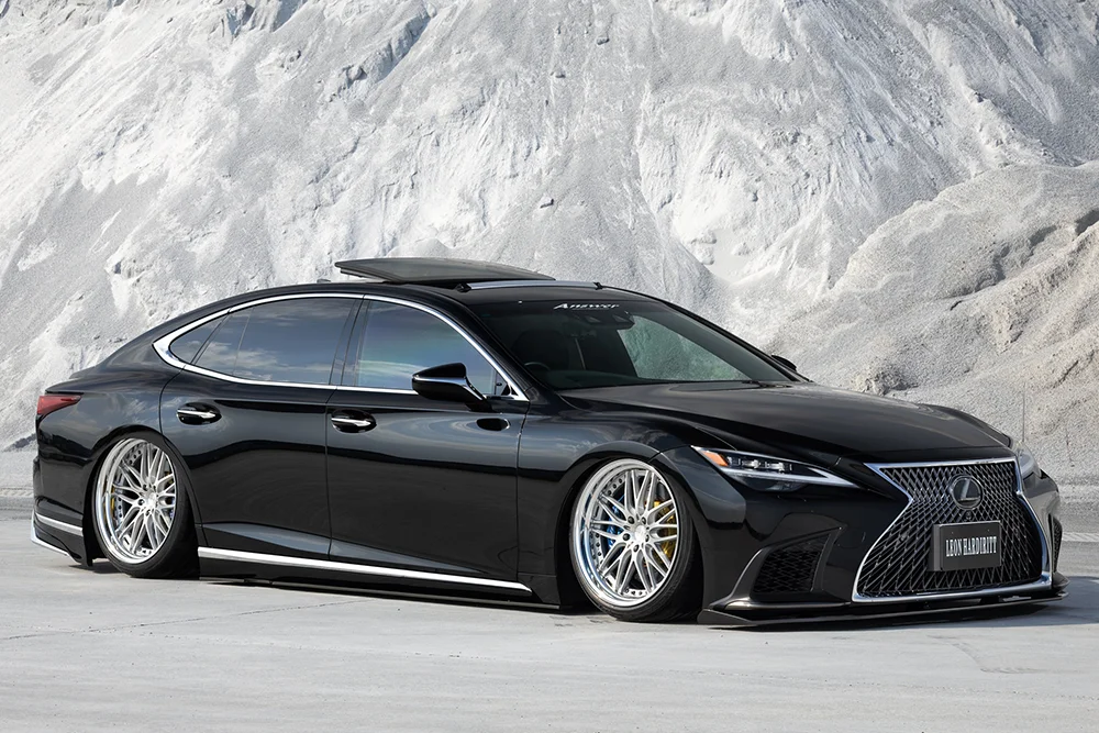 レオンハルト ビューゲル CV 装着画像3