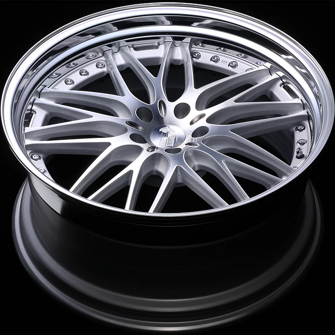 レオンハルト ビューゲル CV イメージ