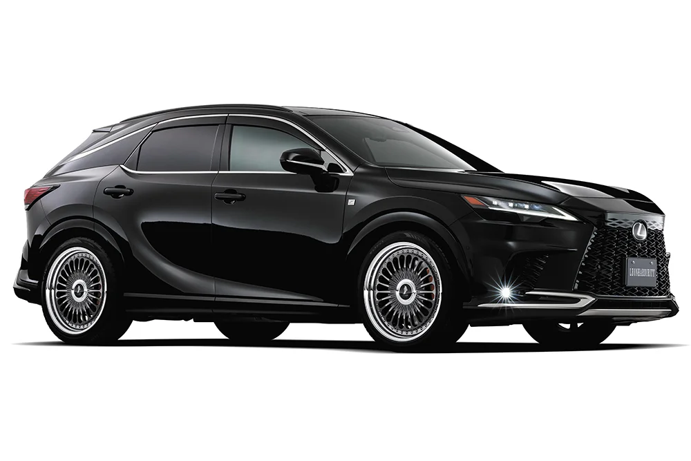 レオンハルトフォルガー 装着画像4