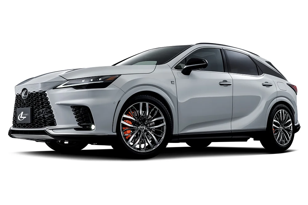 レオニスSC 装着画像2