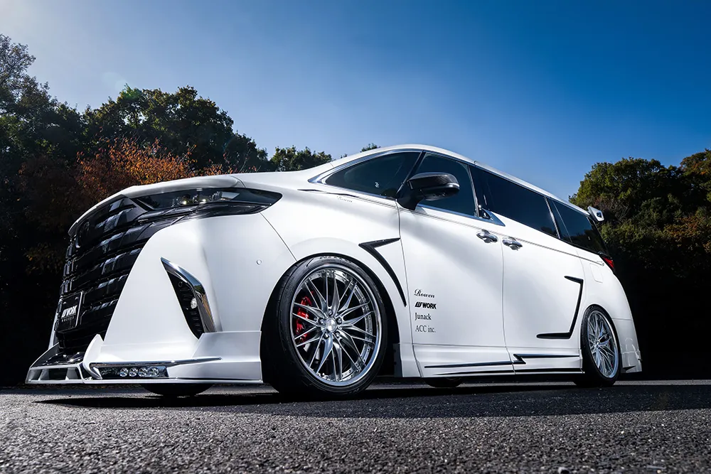 シュヴァート クヴェル2 装着画像1