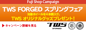 TWS FROGED スプリングフェア