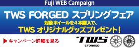 TWS FROGED スプリングフェア