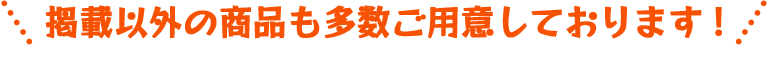 掲載以外の商品も多数ご用意しております！