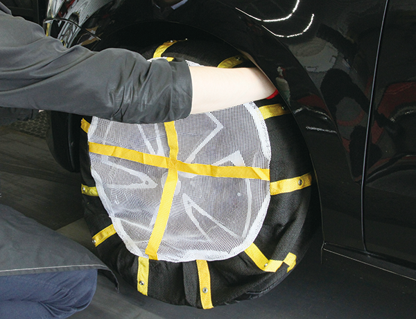 レアマイスター アイスカバー