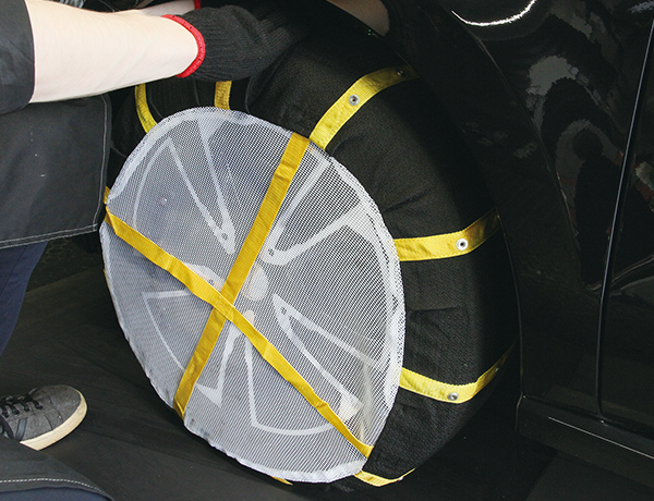 レアマイスター アイスカバー